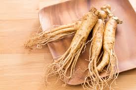 Panax Ginseng